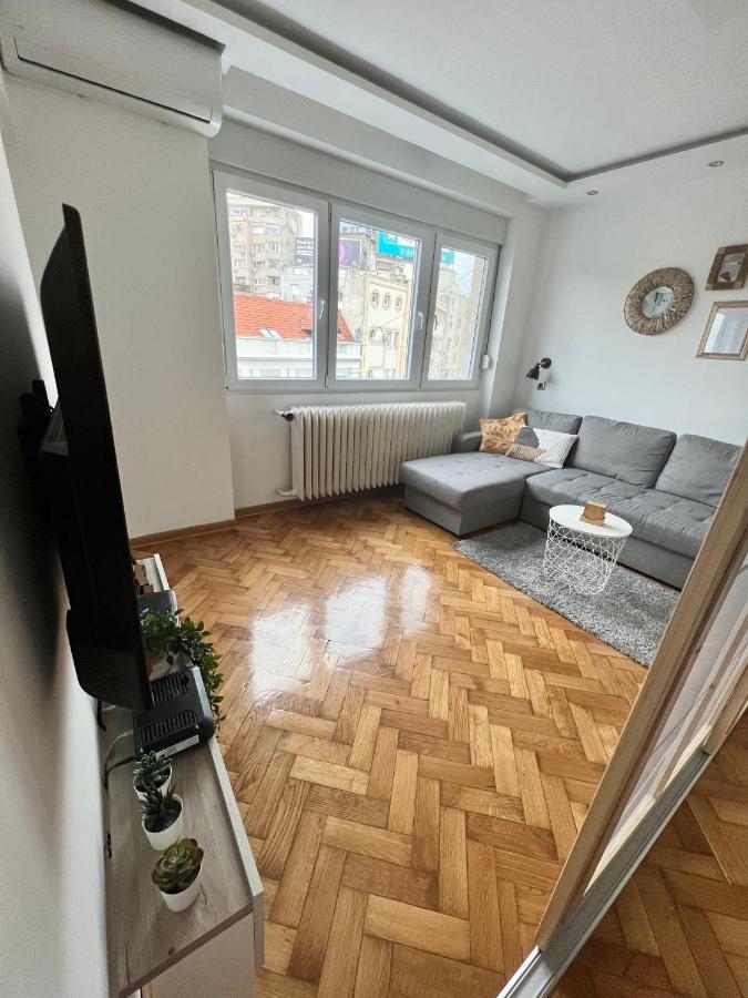 Comfortable Apartment In City Hub Belgrad Zewnętrze zdjęcie